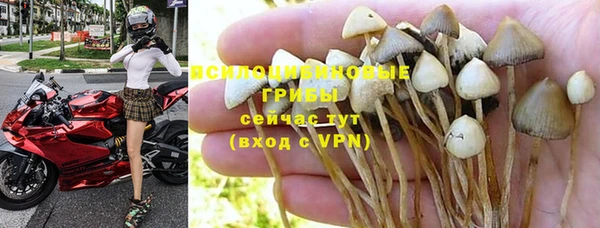 ALPHA PVP Алексин