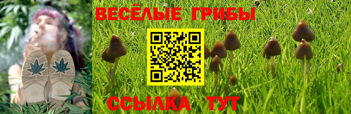Галлюциногенные грибы прущие грибы Грязи